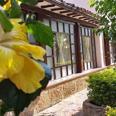 San Fernando De La Villa Villa de Leyva Exteriör bild